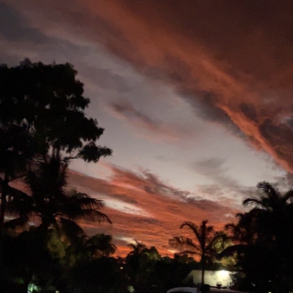 Meet your Posher, Holly - Picture 1 of 1